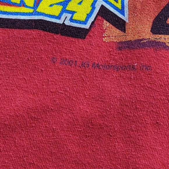 Vintage Jeff Gordon 2001 Winston Cup Champion Shirt - Picture 5 of 8